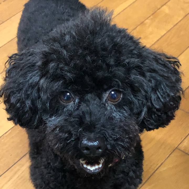 B01cd5e6 9de2 4e3f aa9a 7f1749b64023 1596245203971