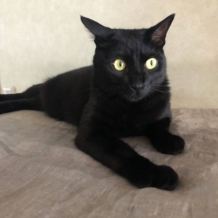 B01cec54 282b 4bb5 a72c 713081ab17b4 1558999016198