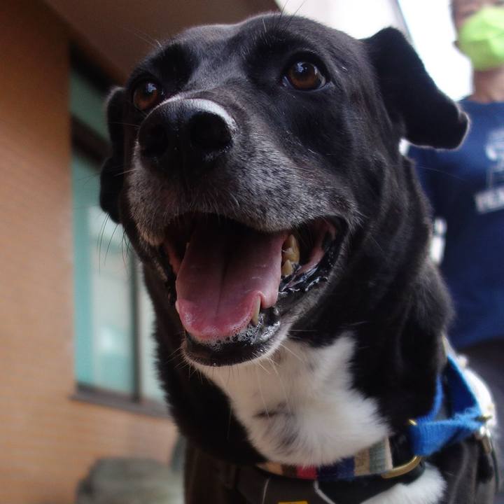 B01d12cc 1087 4615 a3b4 beaa10cef4d3 1664068230668