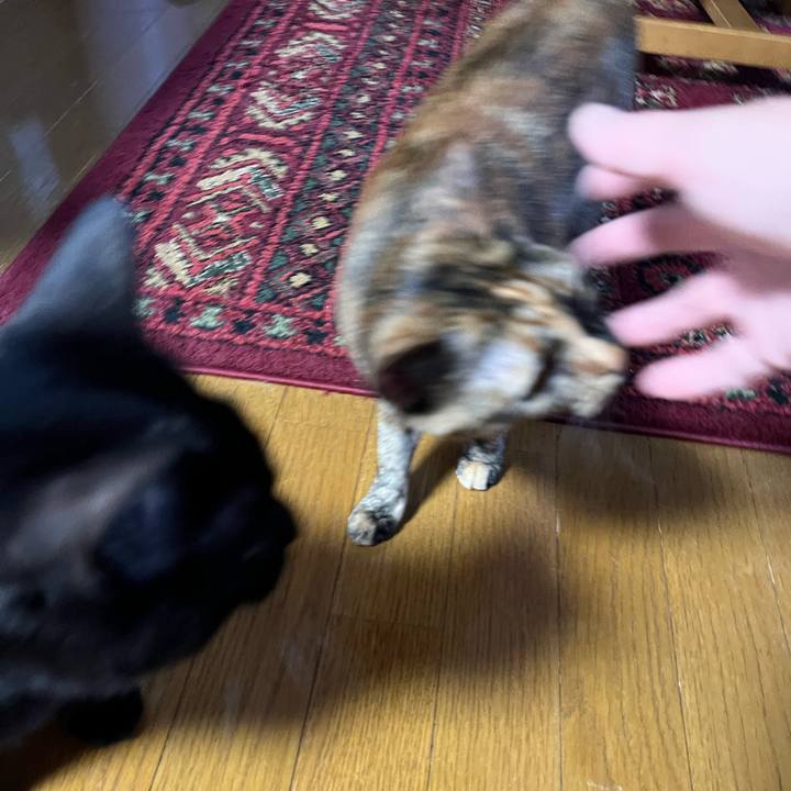 B01d2d25 1cef 4984 aa6c 33b02bda3010 1659564745037