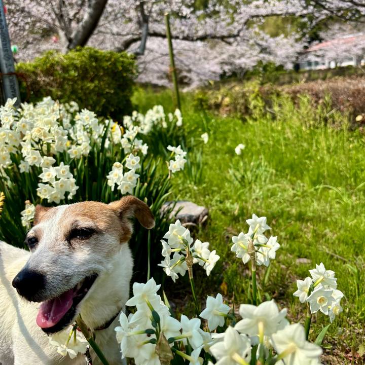 B01d401d 8603 464d 8a57 18f332c81f78 1774789557305