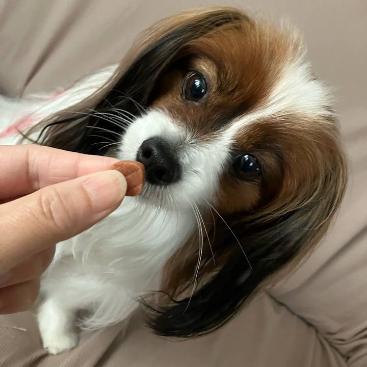 B01d43fa 3715 43d1 8924 b00be7cbd5c9 1714551175071