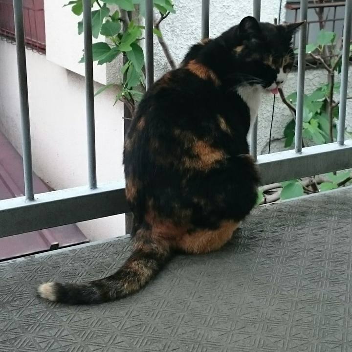 B01d55f7 3986 4334 9140 1c51210a7532 1524454275407