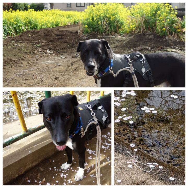 B01d71a9 95e0 47a6 b986 3a88e0dc2598 1648688916877