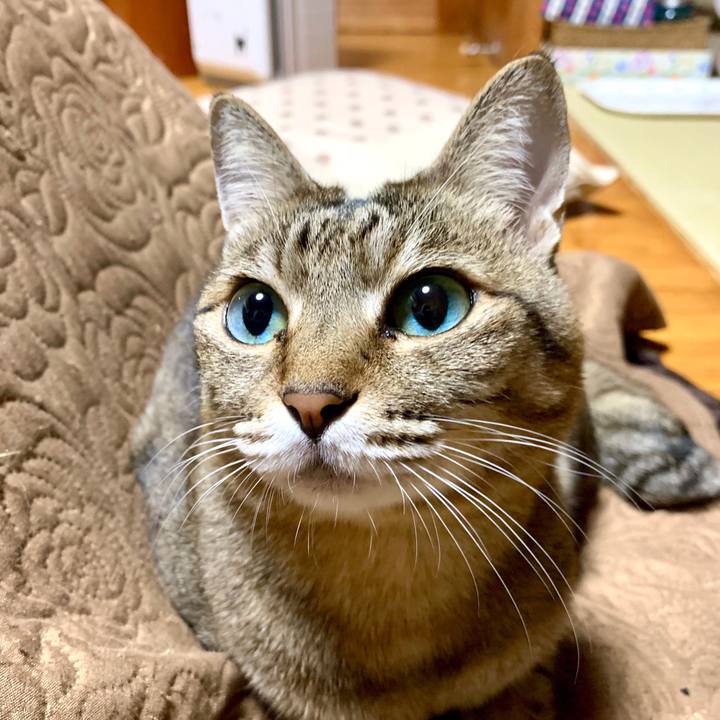 B01d7384 1f5b 467b 951c 4f1376426826 1583589939141