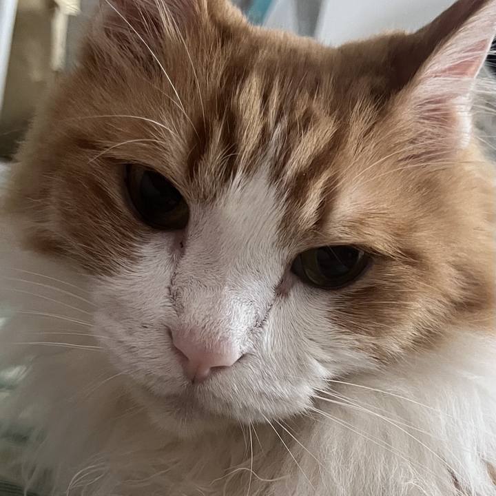 B01e0201 e063 4274 9dc8 f64c8cec1a50 1726375245113