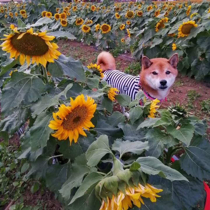 B01e5295 db53 469f 822b a3b25cb05c6a 1636297337267