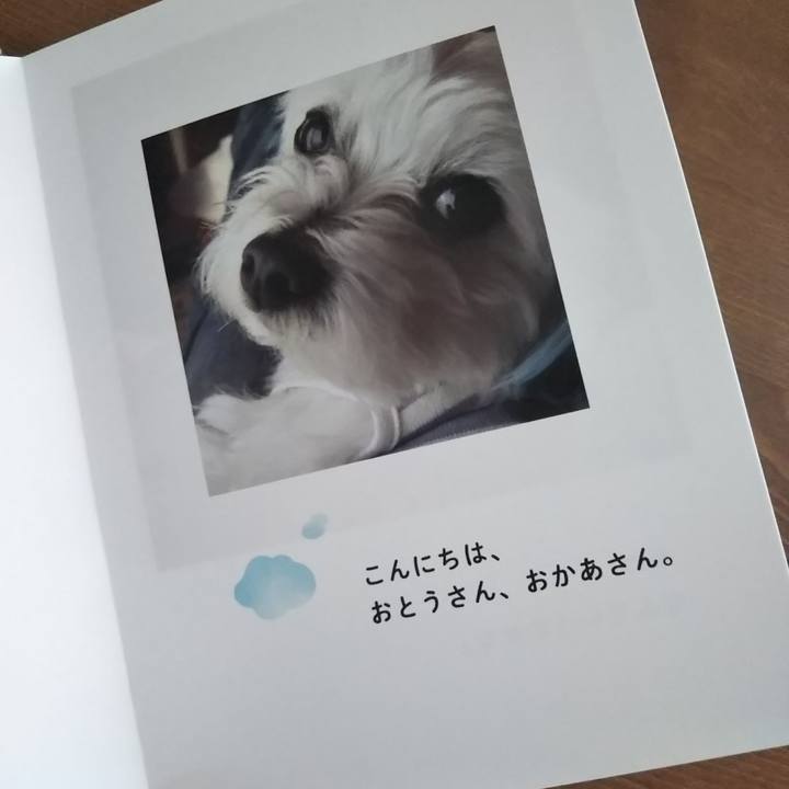 B01e711d 7f1e 4b49 ab75 aee3eacf9d69 1531321340446