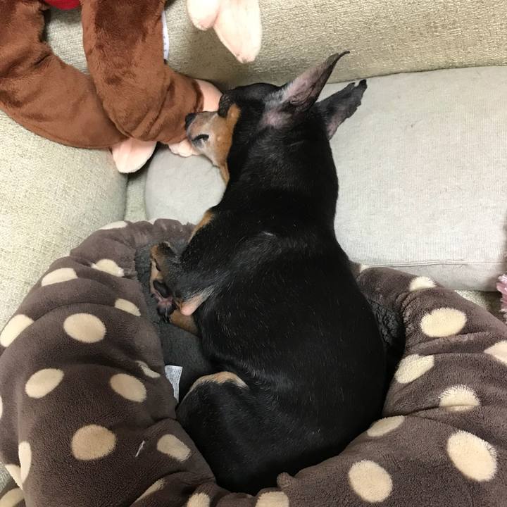 B01e8d3a a762 4b55 b134 6e2dfbae460d 1531539306560