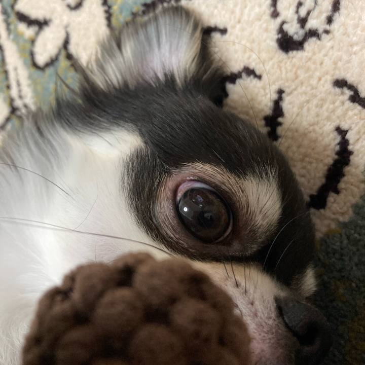 B01e9499 10ff 453c ae20 706270800f4d 1623505172481