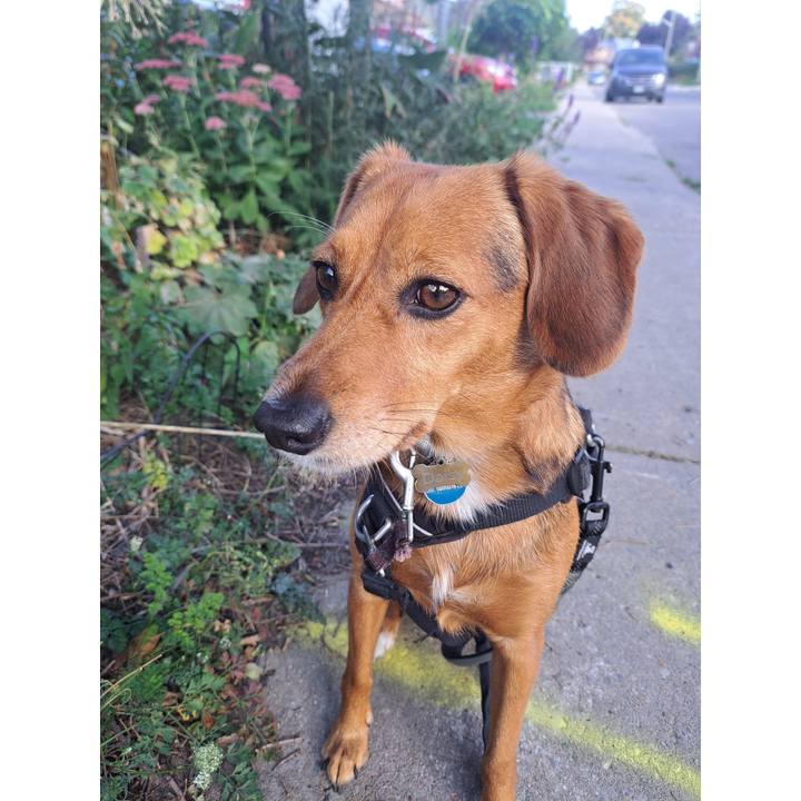 B01ec939 98a8 487e 9ee3 5e712793e44e 1757944040909