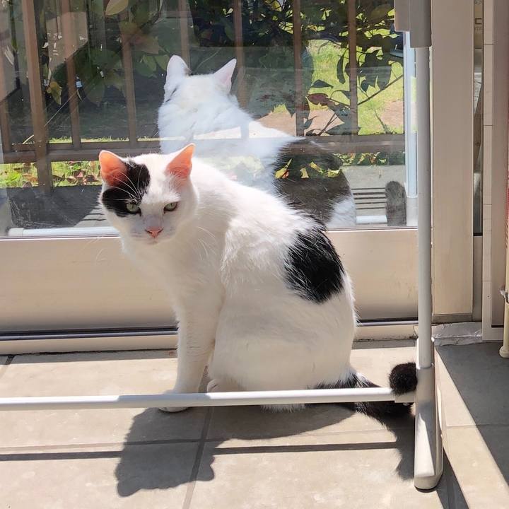 B01f1117 ce5b 4012 a4a9 47063fceaf78 1588823694077