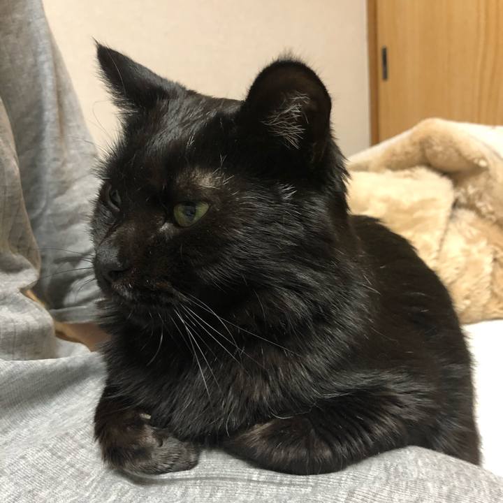 B01f117d 800f 4cac 8b59 ceb22d8d0746 1613216141449