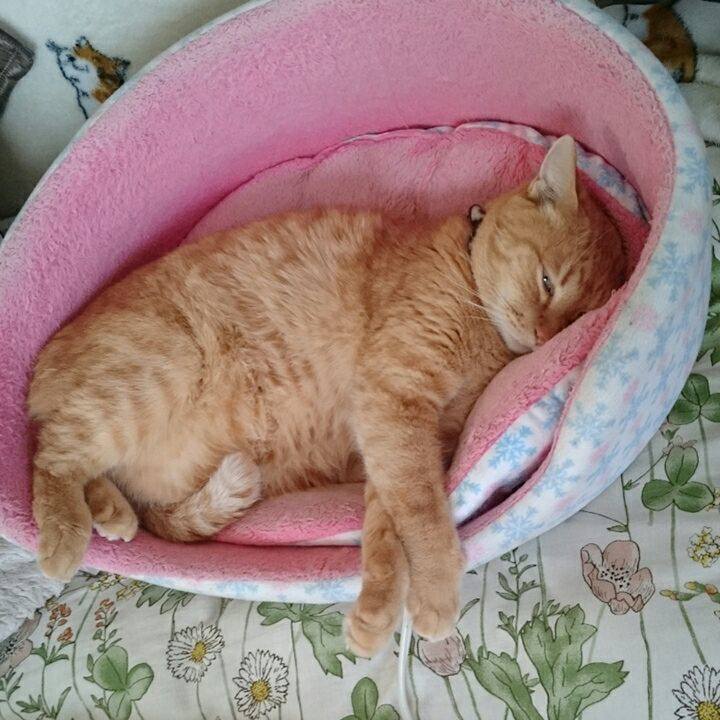 B01f11ad ac35 4df5 9a1a 0e98ef195f5b 1543623174696