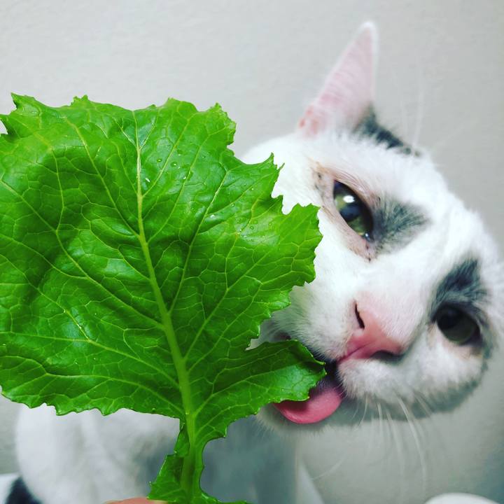 B01f11cd 202e 4e00 bad5 c8cd6bba6816 1516171048522