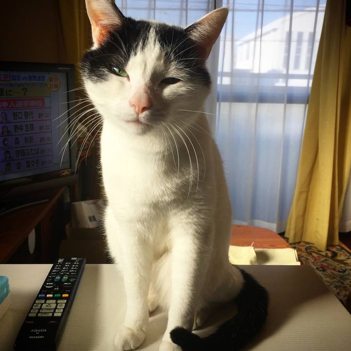 B01f12b8 8507 4417 930f 09114bcb5149 1581427955627