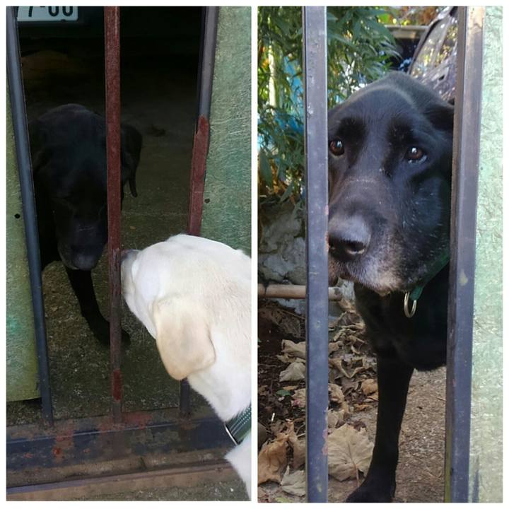 B01f4ace 6fe1 46e7 85aa e696af61f2df 1510885234624