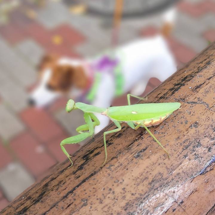 B01fae4d de11 4b51 b7e1 c190ea63d01d 1694316124173