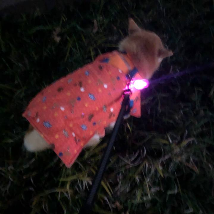 B01fc6c5 1750 48a8 91a0 2f4e526393f7 1608635195661