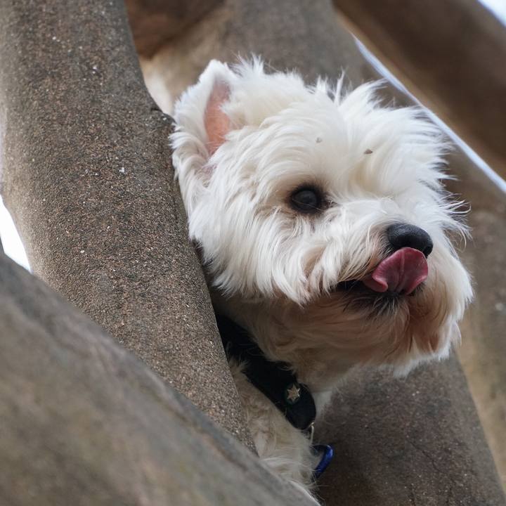 B01fce6b 69f6 4ae4 b787 794f12f23855 1519859424292