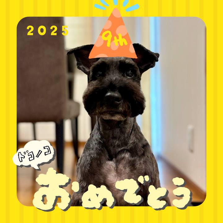 B01fd4f9 ea14 4233 9fdf 1e7866624cc0 1749279606372