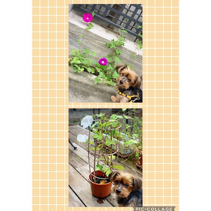 B01fed20 1ab6 4910 a1bd 4474eafdd384 1631572857206