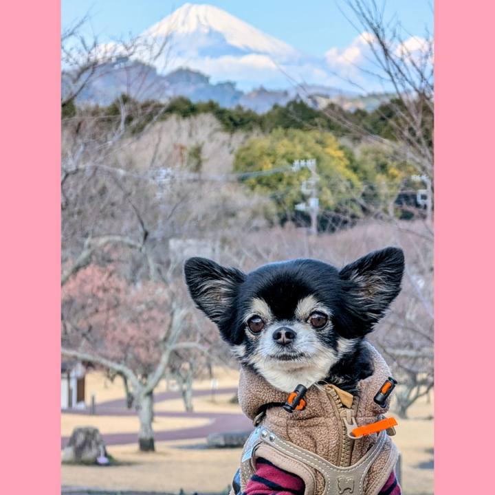 B0204e82 79dc 4def 9446 33be58feabdc 1769927216186