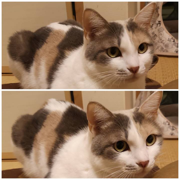 B020920f f6c6 4a2d 9904 9f1b775825bc 1580440317776