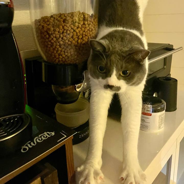 B020a269 dba6 45ab a1d3 8a1f4464dc59 1658015546149