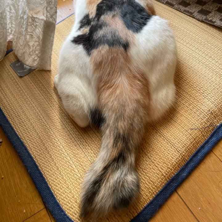 B020aa1a a0fd 4146 91e0 68f19f18a2c9 1690152251972