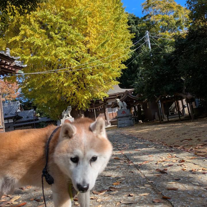 B020b513 fb1f 45f0 861d 0d882dae8b57 1763263399416