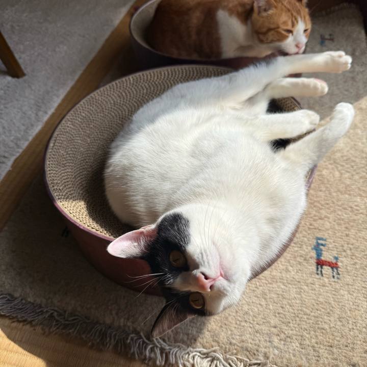 B020e899 bde8 420c 8f6d 1a0f9273a500 1773147589522