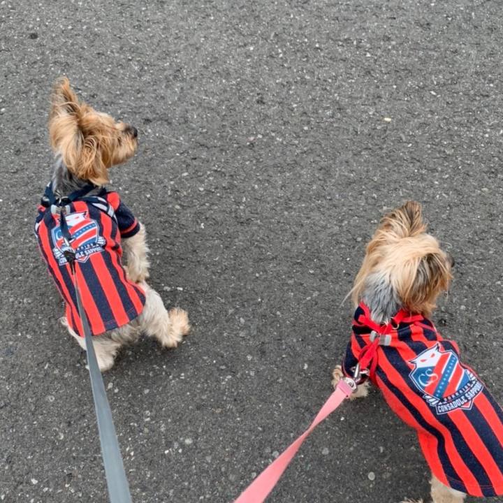 B020ed55 12b5 4f4c bca9 7af5949f74ef 1633600512526