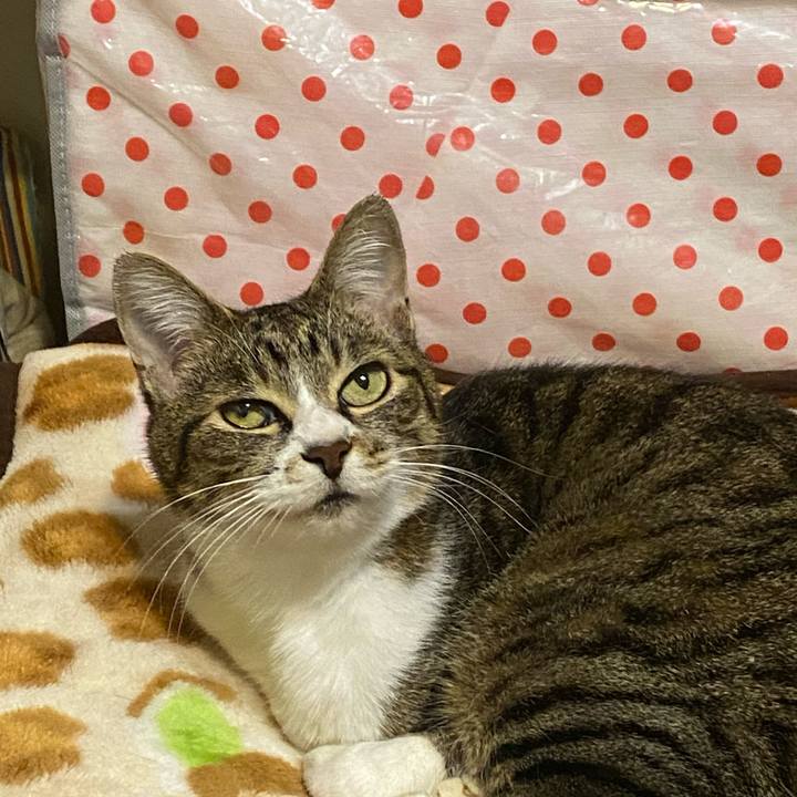 B02109fc 2177 4f0f 9234 f0d23f6e70f3 1617536126036