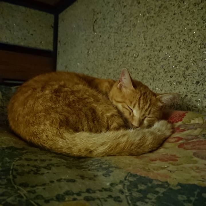 B021250e 9431 4cb9 86a7 d872dfe326ec 1595942364369