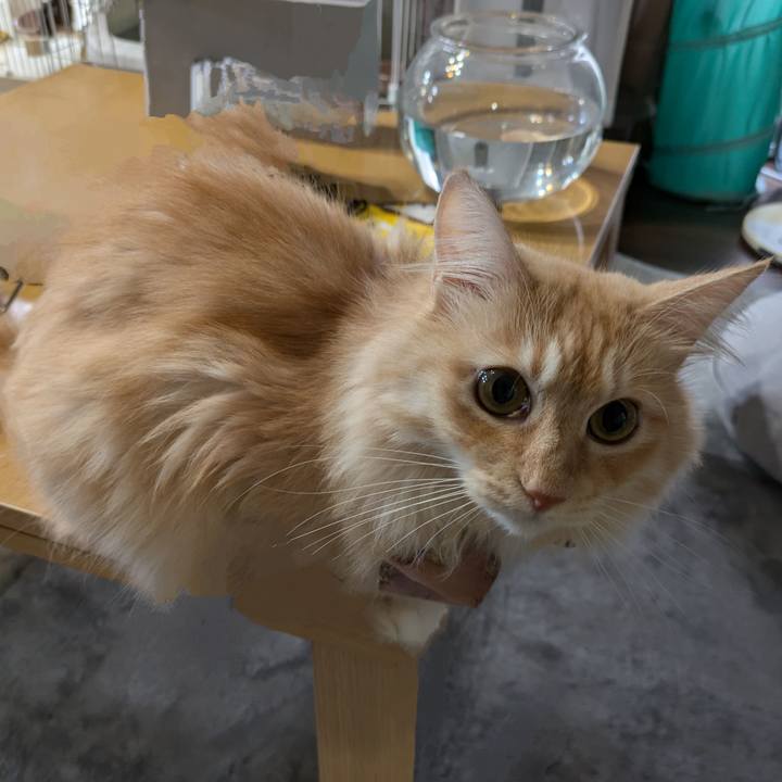 B0212cbf f1e1 435a bab0 23881e2e321d 1727585631185