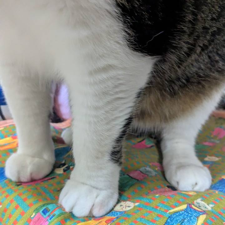 B0213d30 f8eb 4035 9952 675b6a29234f 1765637590135