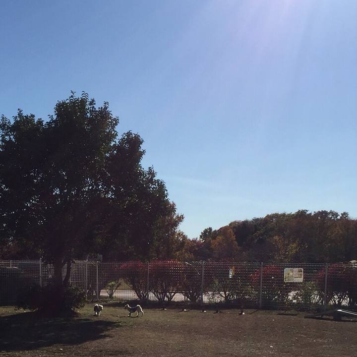 B02149d3 09a8 42b3 ae16 089746c0328f 1511264473261