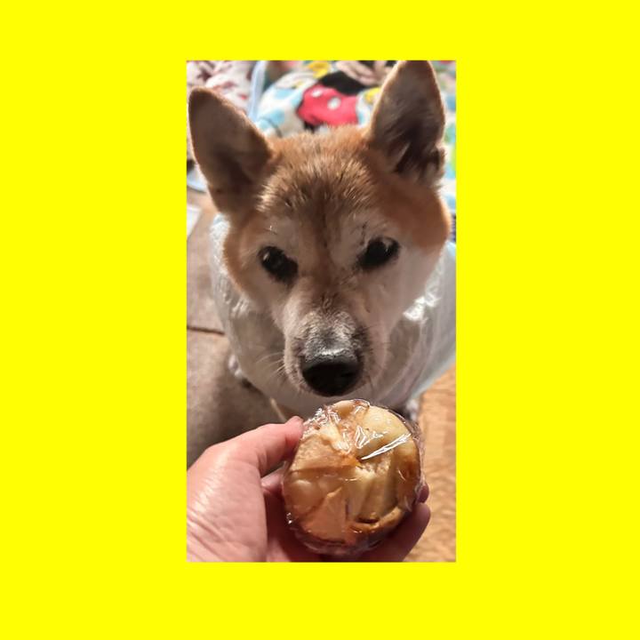 B02154e2 12f3 4ace 833a 3841ddc29233 1764404476833