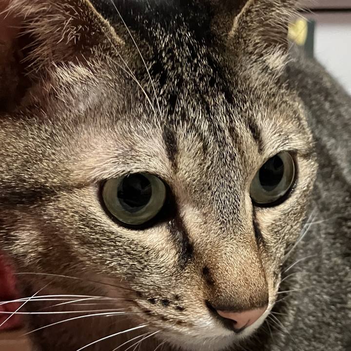 B0215f3b de96 4ab9 af72 33758cbde9c5 1769814709193