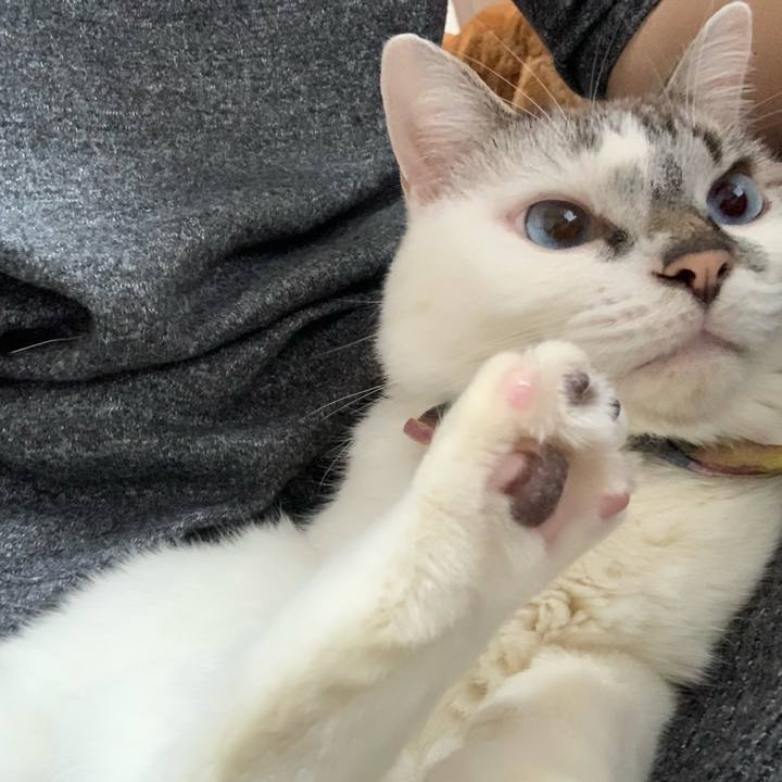 B0216b1e 666b 411a 91ef 2e2a53f400b6 1571535136545