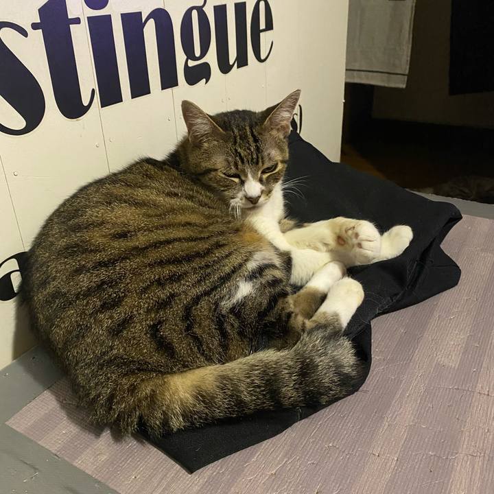 B0218241 ca6f 4f5d b586 3b33a45e181b 1658538376806