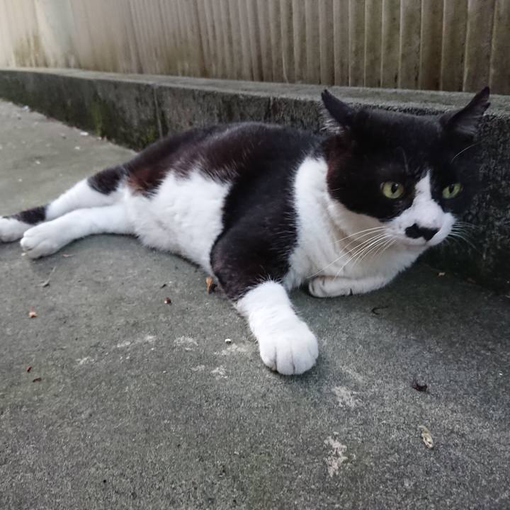 B02195b3 8d1b 4918 9f5b 0d888cd743ae 1530351542567