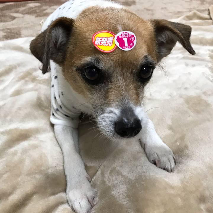 B021a768 597c 4a5c 953a df935c16f888 1549234806751