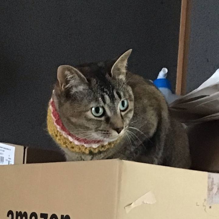 B021e994 b219 4a20 98e0 6fabc31d093b 1623796991272