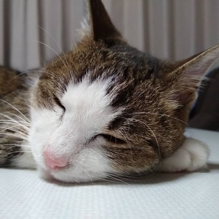 B0221af8 52d1 4072 9a79 99093dbf3dd9 1560166597207