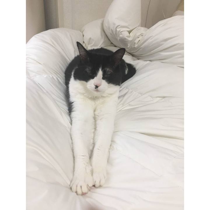 B0222751 a7d6 45de 80fb d249513a23fa 1586907113337