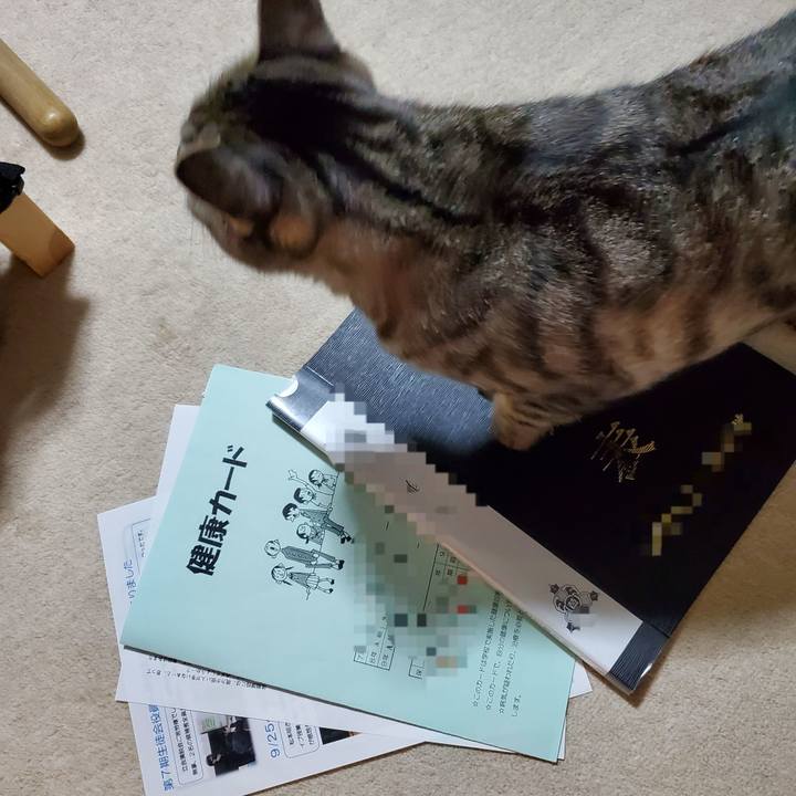 B0222cdf 00f4 4ba9 b73d 2fe02bd3b442 1696340515463