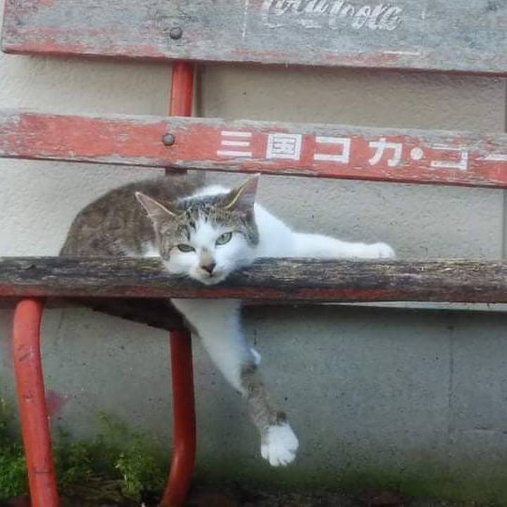 B0224c1e 7c05 40bf b689 a209c90ad9b4 1626748576404