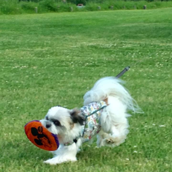 B0225e6b a8cd 4bd8 a90c 19655b03adb2 1526136151273